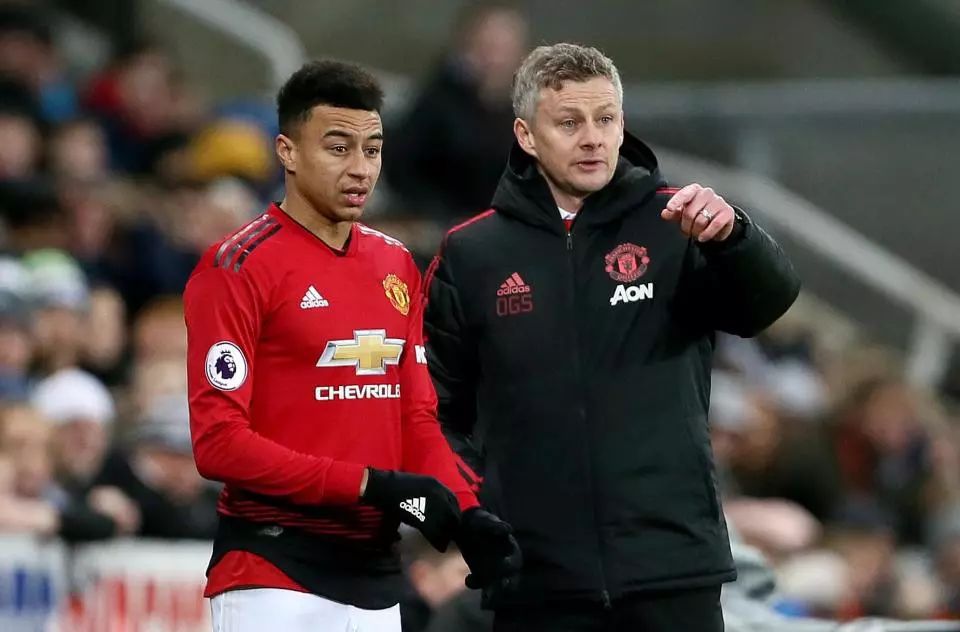 观众也能感 观众也能感